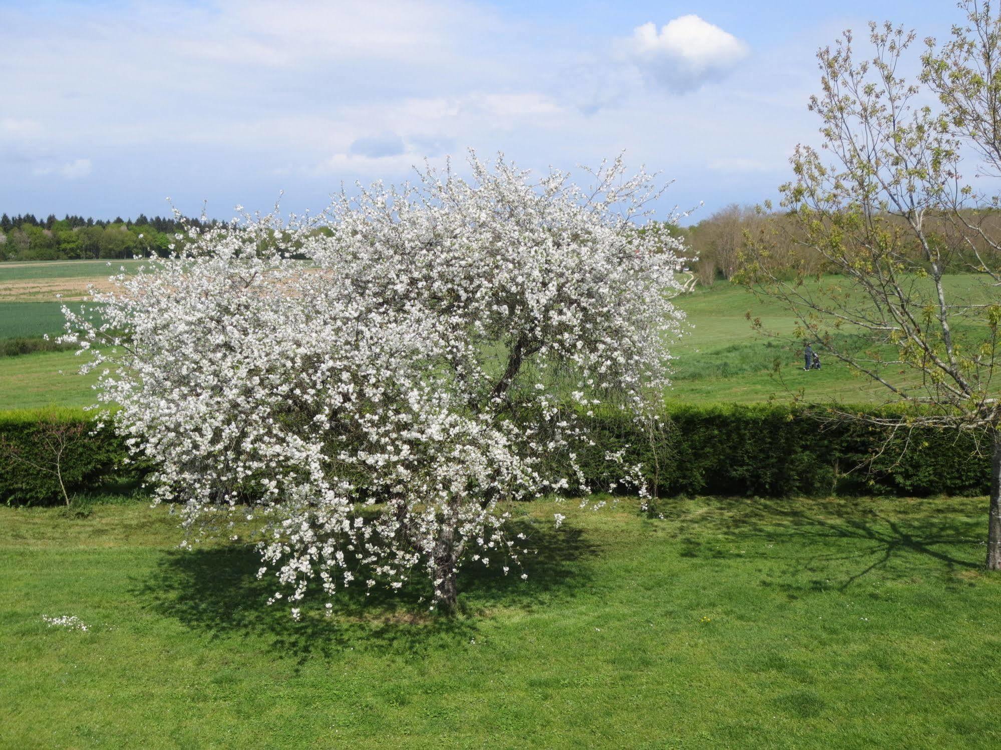 Le Clos Du Golf Dame-Marie-les-Bois ภายนอก รูปภาพ